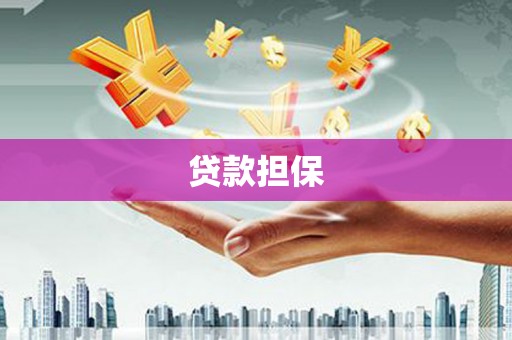 两江新区贷款担保
