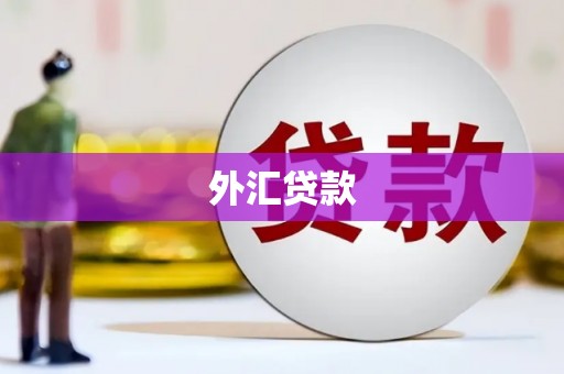 两江新区外汇贷款