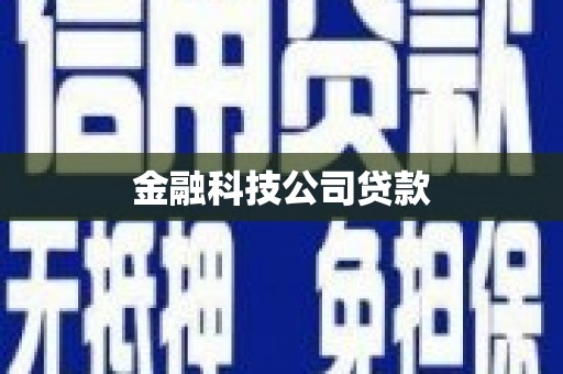 两江新区金融科技公司贷款