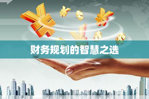 两江新区财务规划的智慧之选