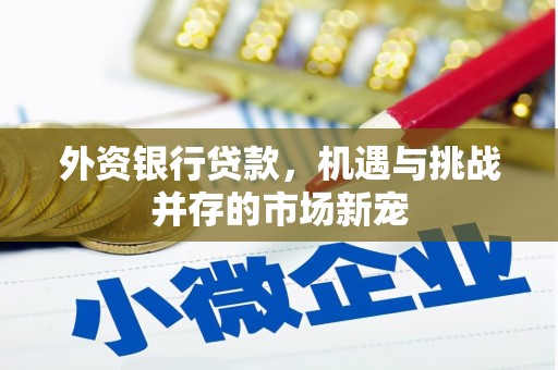 两江新区外资银行贷款，机遇与挑战并存的市场新宠