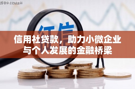 两江新区信用社贷款，助力小微企业与个人发展的金融桥梁