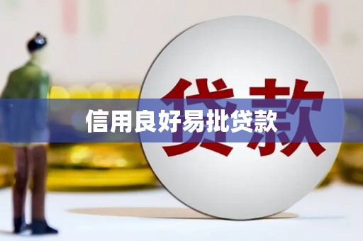 两江新区信用良好易批贷款