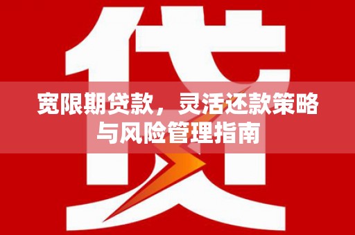 两江新区宽限期贷款，灵活还款策略与风险管理指南