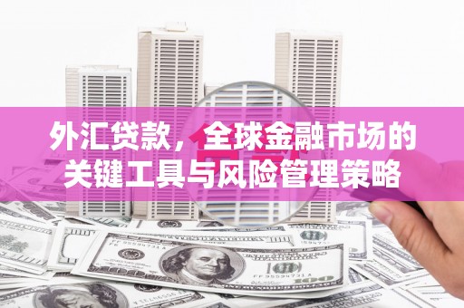 两江新区外汇贷款，全球金融市场的关键工具与风险管理策略