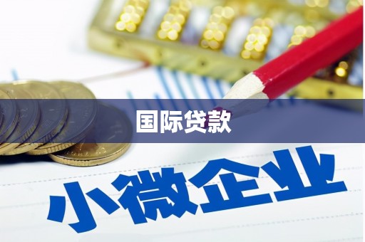 两江新区国际贷款