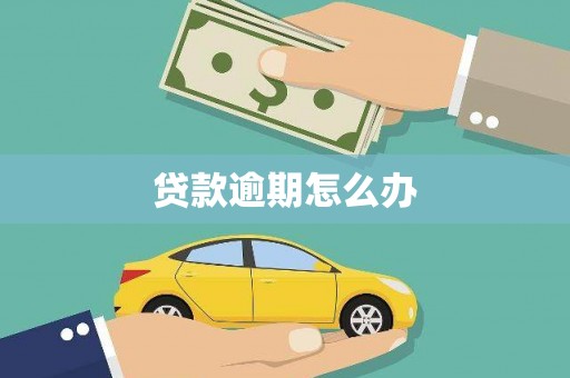 两江新区贷款逾期怎么办