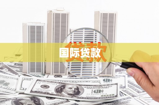 两江新区国际贷款