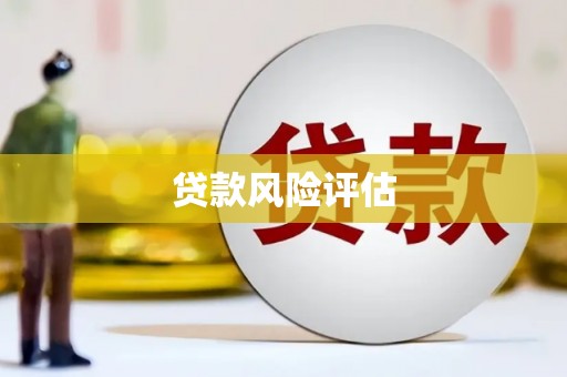 两江新区贷款风险评估