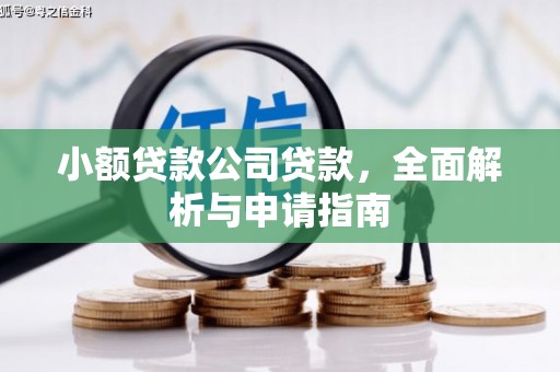 两江新区小额贷款公司贷款，全面解析与申请指南