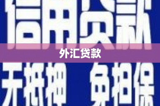 两江新区外汇贷款