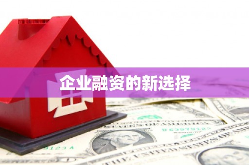 两江新区企业融资的新选择