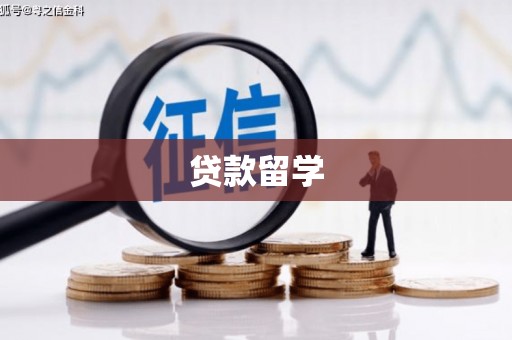两江新区贷款留学