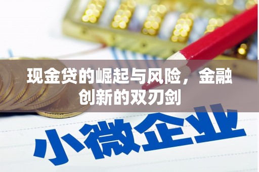 两江新区现金贷的崛起与风险，金融创新的双刃剑