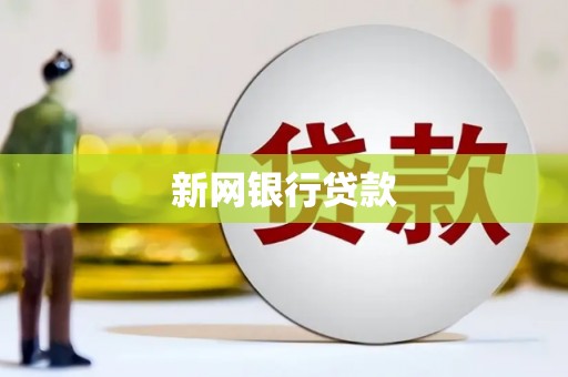 两江新区新网银行贷款