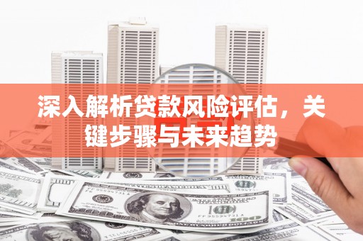 两江新区深入解析贷款风险评估，关键步骤与未来趋势