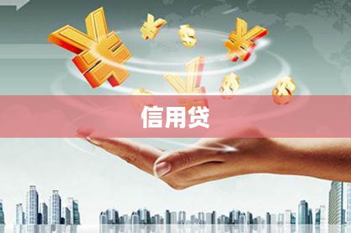 两江新区信用贷