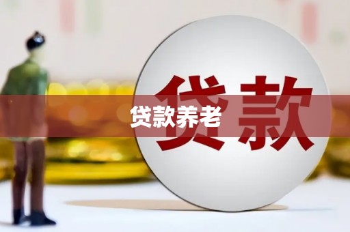两江新区贷款养老