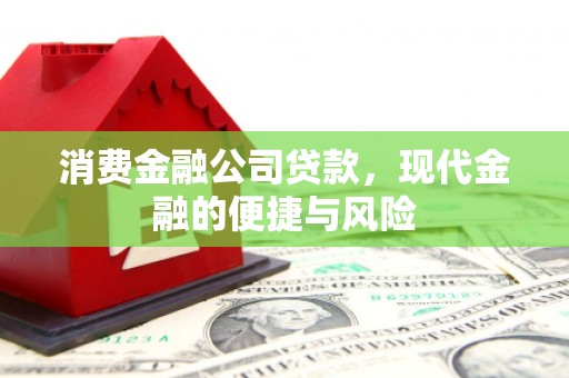 两江新区消费金融公司贷款，现代金融的便捷与风险