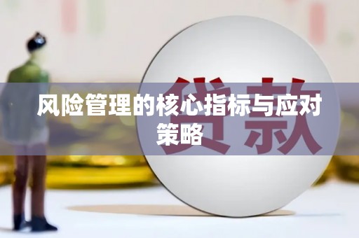 两江新区风险管理的核心指标与应对策略