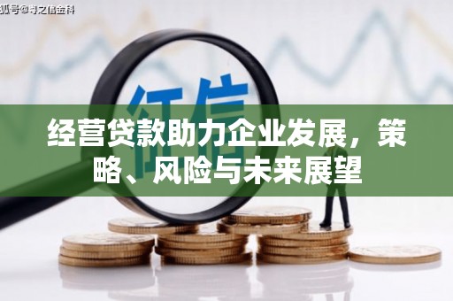 两江新区经营贷款助力企业发展，策略、风险与未来展望