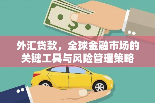 两江新区外汇贷款，全球金融市场的关键工具与风险管理策略