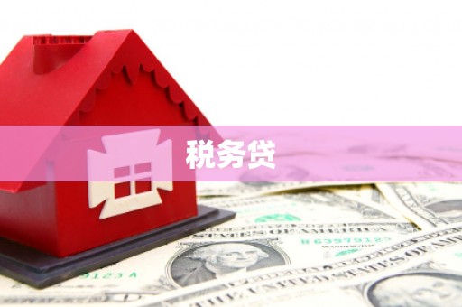 两江新区税务贷