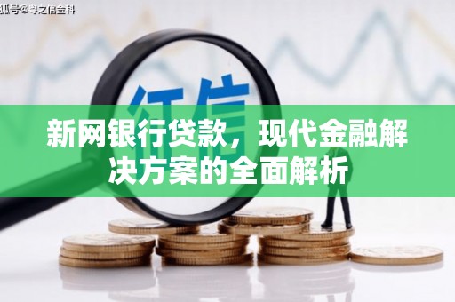 两江新区新网银行贷款，现代金融解决方案的全面解析