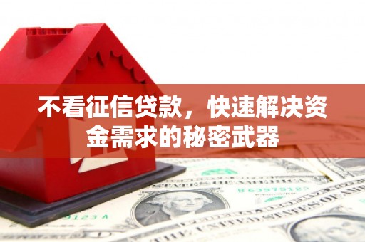 两江新区不看征信贷款，快速解决资金需求的秘密武器