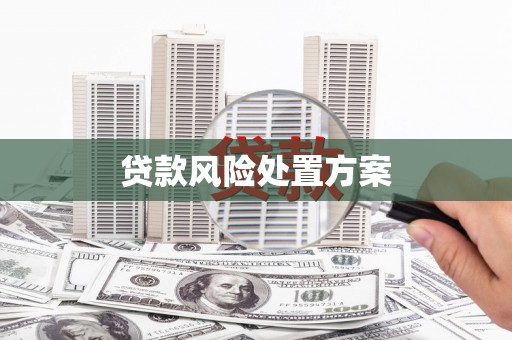 两江新区贷款风险处置方案