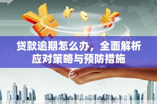 两江新区贷款逾期怎么办，全面解析应对策略与预防措施