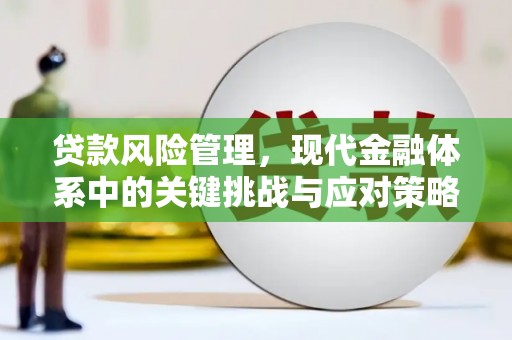 两江新区贷款风险管理，现代金融体系中的关键挑战与应对策略