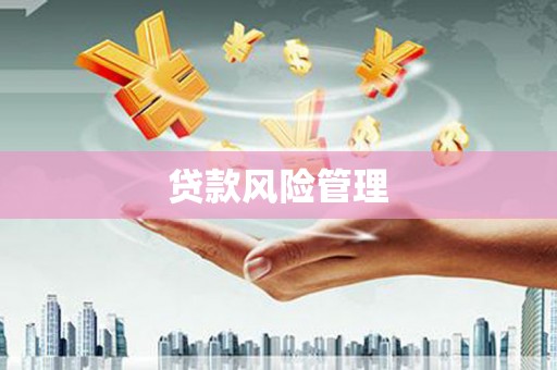 两江新区贷款风险管理