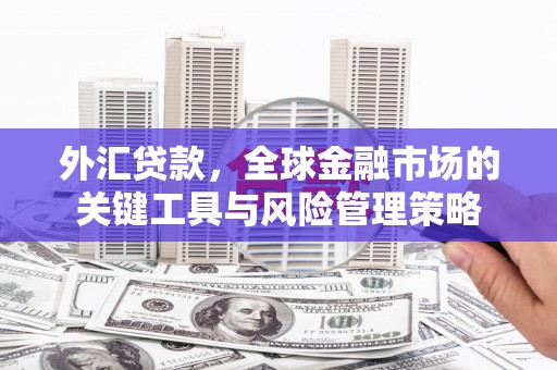 两江新区外汇贷款，全球金融市场的关键工具与风险管理策略