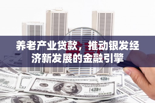 两江新区养老产业贷款，推动银发经济新发展的金融引擎