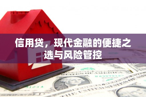 两江新区信用贷，现代金融的便捷之选与风险管控