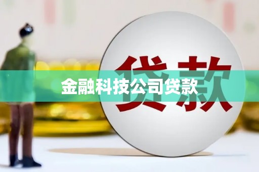 两江新区金融科技公司贷款