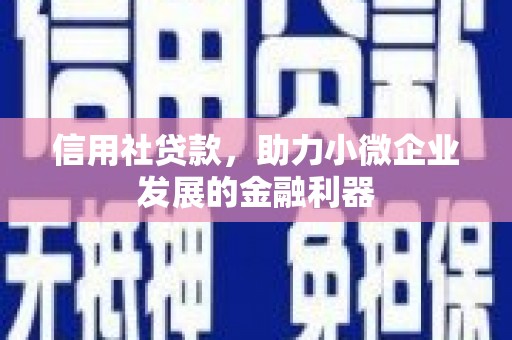 两江新区信用社贷款，助力小微企业发展的金融利器