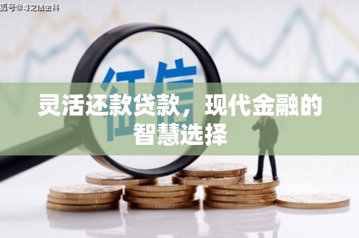 两江新区灵活还款贷款，现代金融的智慧选择