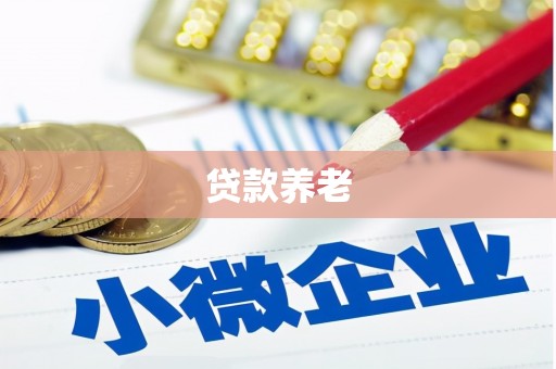 两江新区贷款养老
