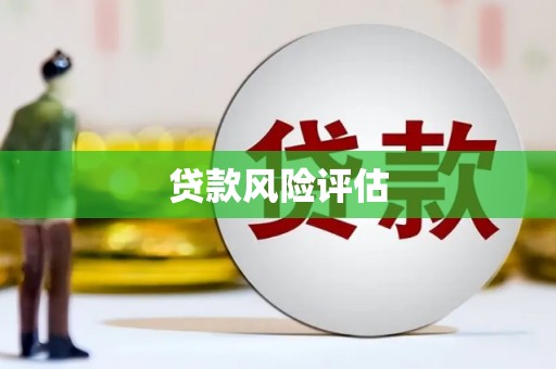 两江新区贷款风险评估