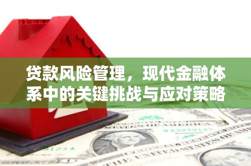 两江新区贷款风险管理，现代金融体系中的关键挑战与应对策略