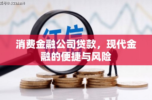 两江新区消费金融公司贷款，现代金融的便捷与风险
