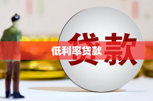 两江新区低利率贷款