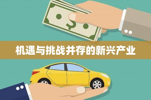 两江新区机遇与挑战并存的新兴产业