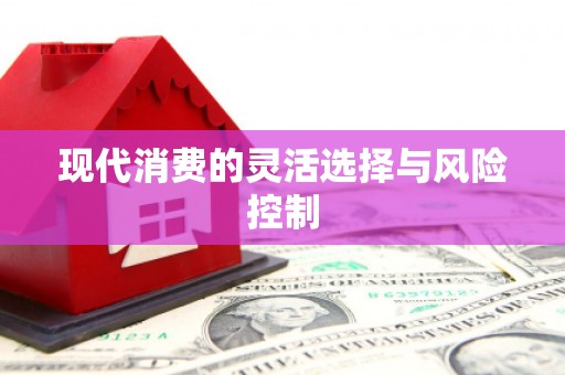 两江新区现代消费的灵活选择与风险控制