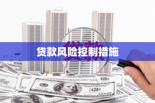 两江新区贷款风险控制措施