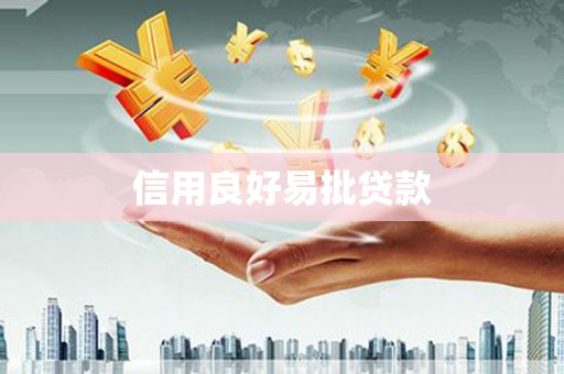 两江新区信用良好易批贷款