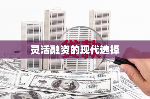 两江新区灵活融资的现代选择