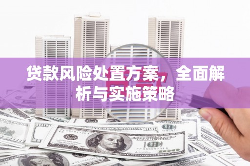 两江新区贷款风险处置方案，全面解析与实施策略